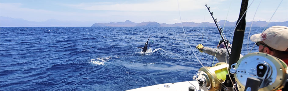 Deep sea fishing