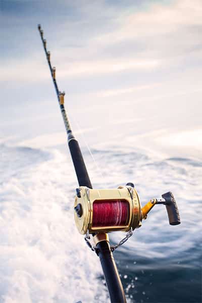 Fishing rod and reel on the ocean
